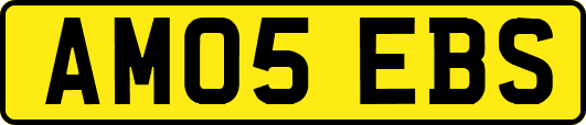 AM05EBS