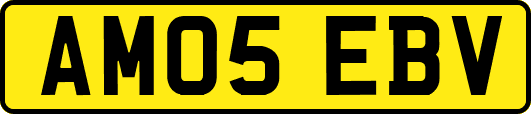 AM05EBV