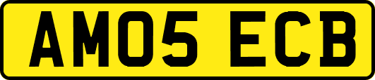 AM05ECB