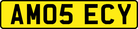 AM05ECY