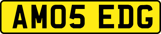 AM05EDG