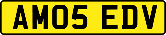 AM05EDV