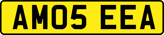 AM05EEA