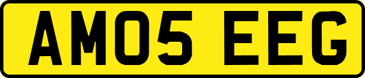 AM05EEG