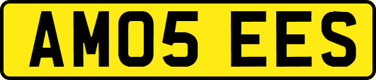 AM05EES