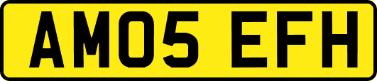 AM05EFH