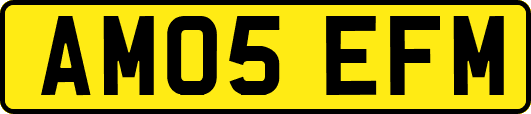 AM05EFM