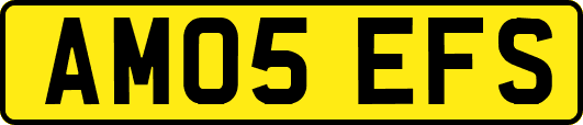 AM05EFS