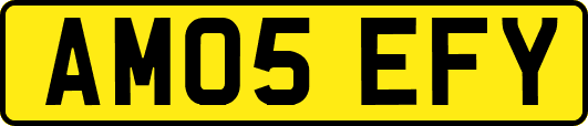 AM05EFY