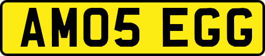 AM05EGG