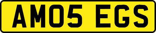 AM05EGS