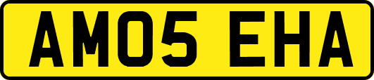 AM05EHA