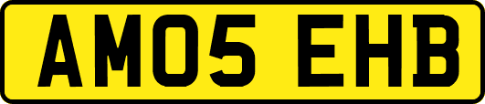 AM05EHB