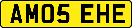 AM05EHE