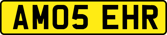 AM05EHR