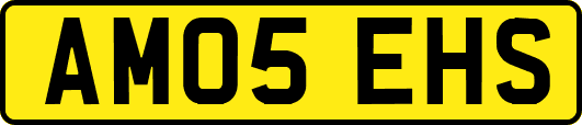 AM05EHS