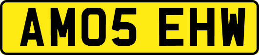 AM05EHW