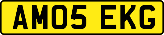 AM05EKG