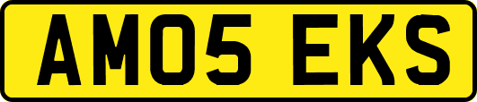 AM05EKS