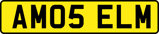 AM05ELM