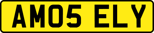 AM05ELY