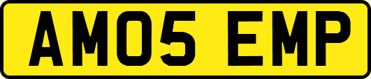 AM05EMP