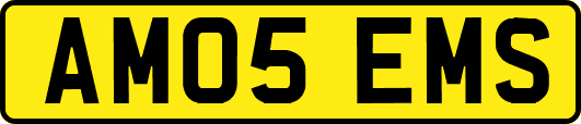 AM05EMS