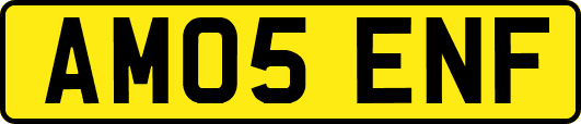 AM05ENF