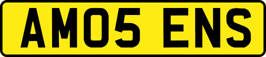 AM05ENS