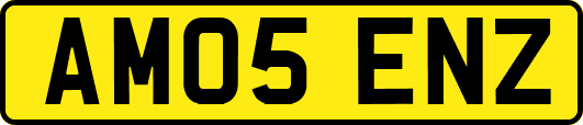 AM05ENZ