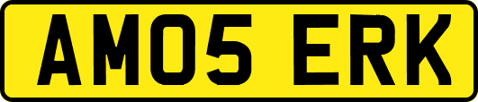 AM05ERK