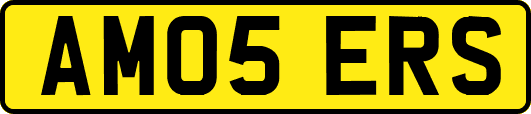 AM05ERS
