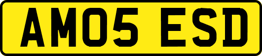 AM05ESD