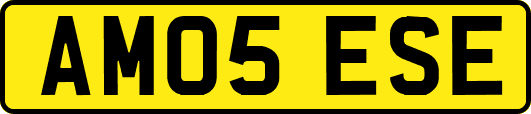 AM05ESE