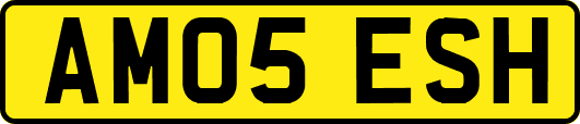 AM05ESH