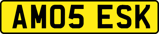 AM05ESK
