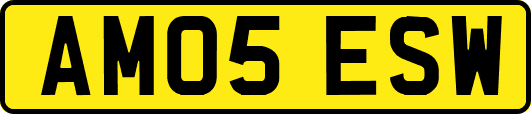 AM05ESW