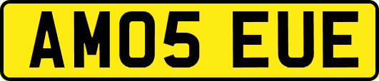 AM05EUE