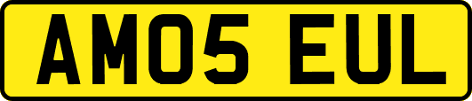 AM05EUL