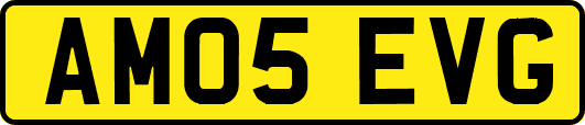 AM05EVG