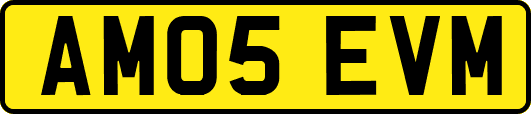AM05EVM