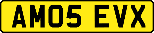 AM05EVX