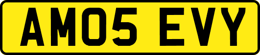 AM05EVY