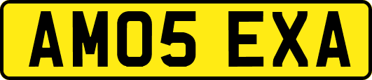 AM05EXA