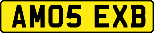 AM05EXB