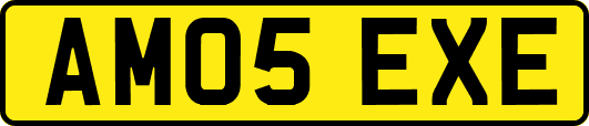 AM05EXE