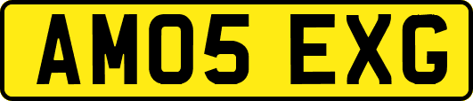 AM05EXG