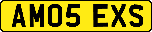 AM05EXS