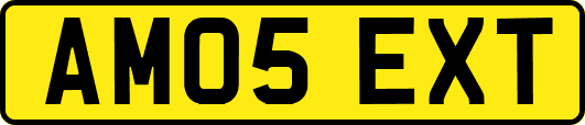 AM05EXT
