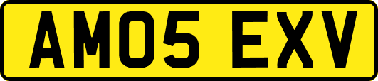 AM05EXV